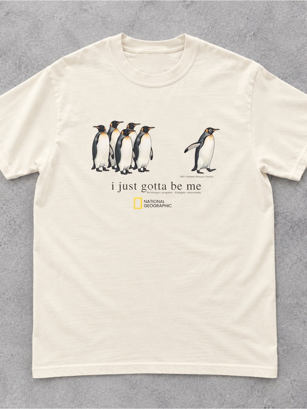 Gildan I Just Gotta Be Me t shirt, Vintage 2001 National Geo Society Graphic Tee